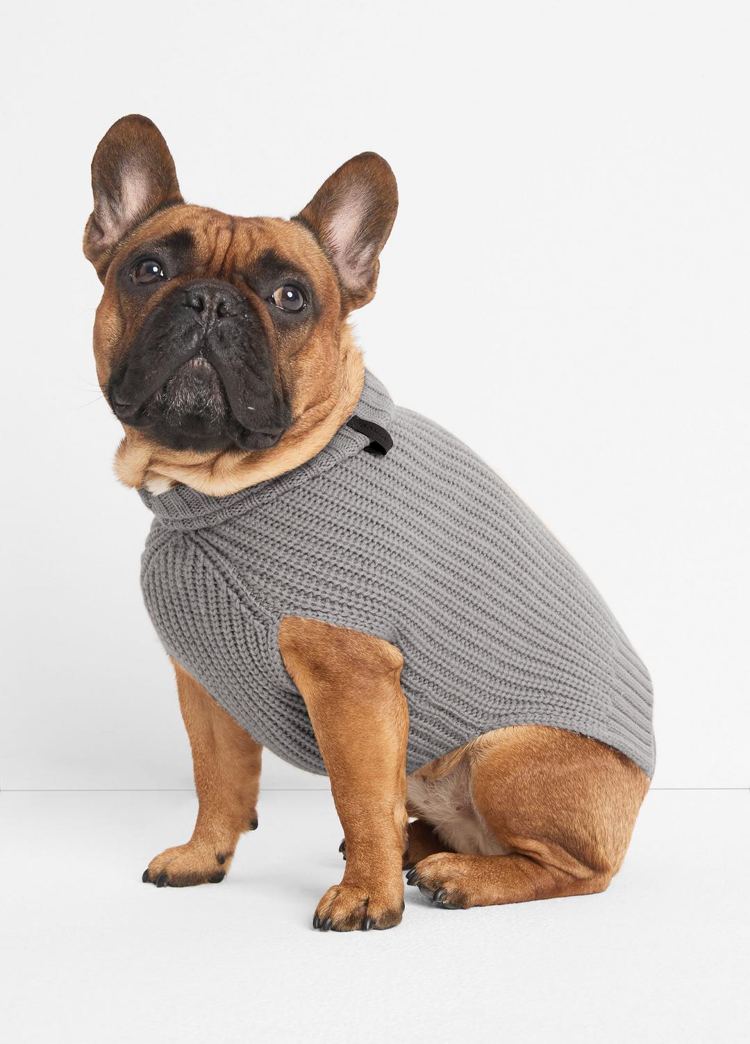Wool and Cashmere Shaker-Stitch Dog Sweater in Dog Accessories | VINCE Women